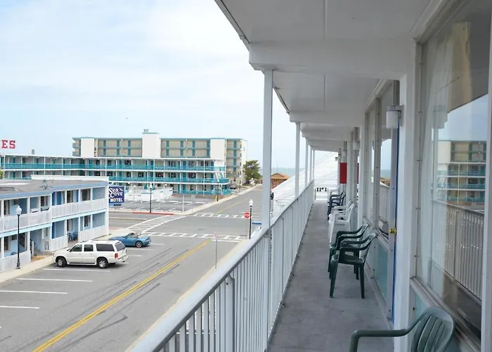 Sea Cove Motel Ocean City Motel 2*